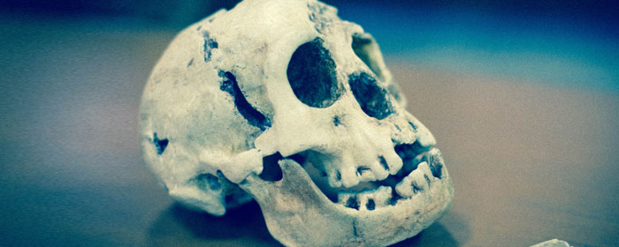 Homo Floresiensis Uncovered: The Science of the Hobbit